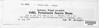 Pestalotia funerea image